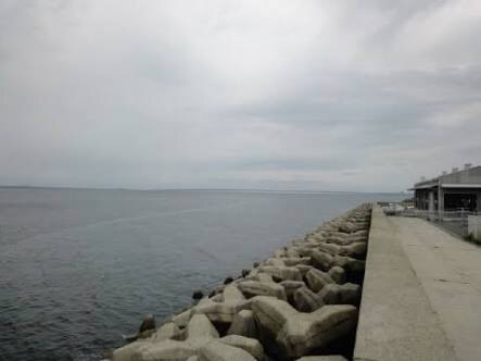 タッチー来ました！