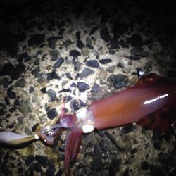 シルバーウィーク前夜