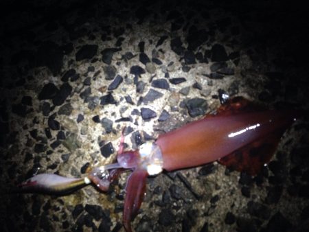 シルバーウィーク前夜