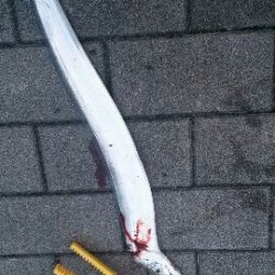 今年初のタチウオ