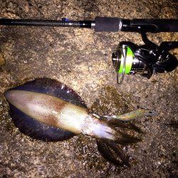 サイズアップ‼️