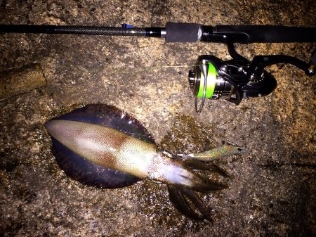 サイズアップ‼️