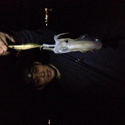 数年ぶりにエギング