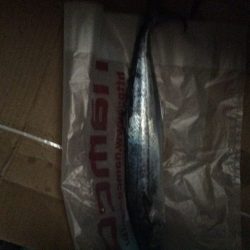 佐野川にて サワラ