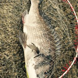 師匠に教えられて？