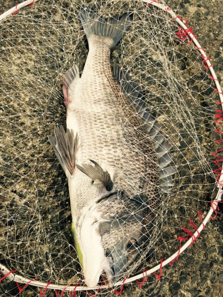 師匠に教えられて？