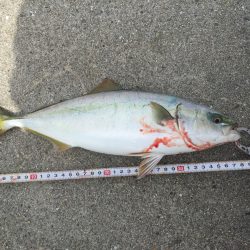 昼から釣行へ出陣‼︎