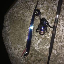 青物に会いたくて！