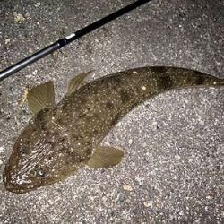 ナイトで、シーバス＆マゴチ