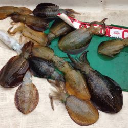 師匠とエギング