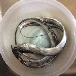 佐野川から食品コンビナート