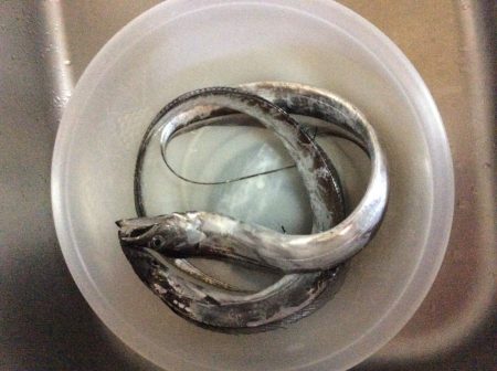 佐野川から食品コンビナート