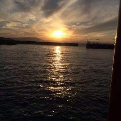 さんまフィッシング