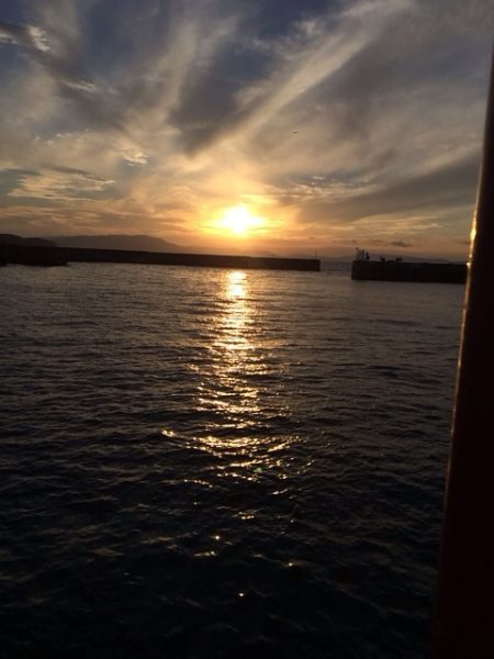 さんまフィッシング