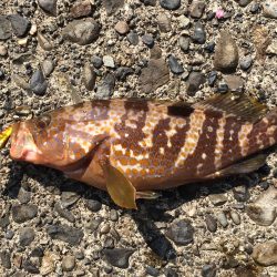 メタルマルゲーム