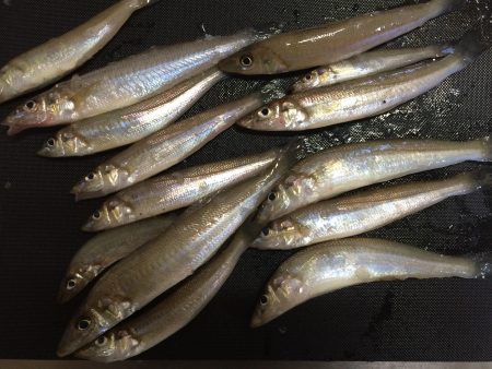 シルバーウィークの旅先で