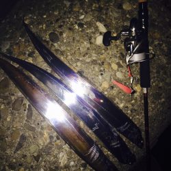 ナイトゲーム♪