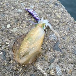 かろうじて本命ゲット