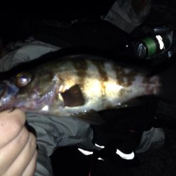 連休最終日はのんびり浮き釣り