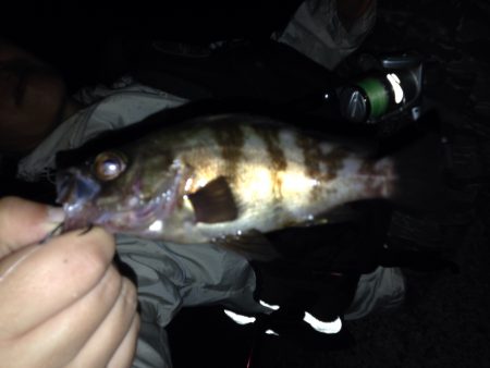 連休最終日はのんびり浮き釣り