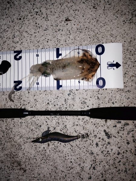 新子調査 in二見