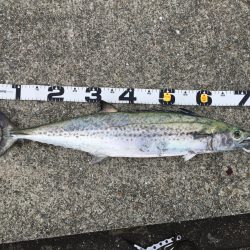 7時のジアイにて