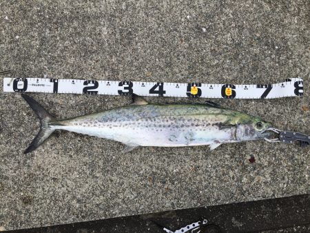 7時のジアイにて