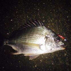 いやぁ〜まいった‼︎