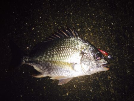 いやぁ〜まいった‼︎