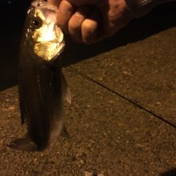 サイズダウンでボッコボコ