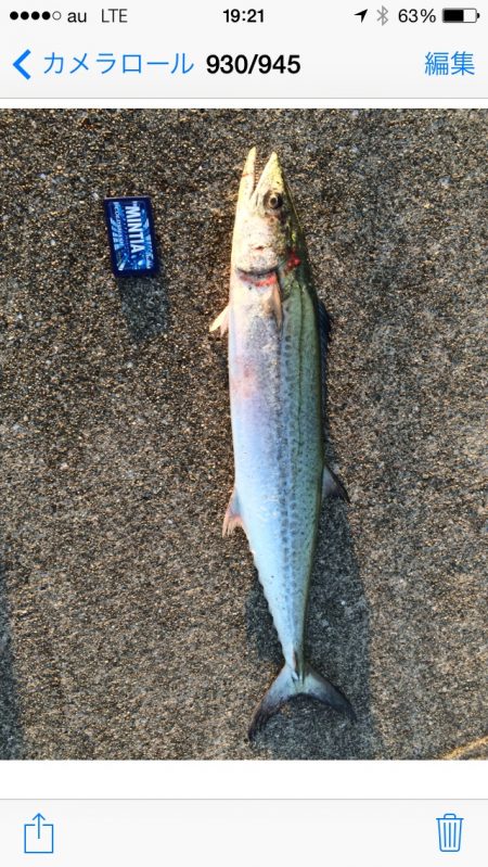 IPでサワラ78cm！