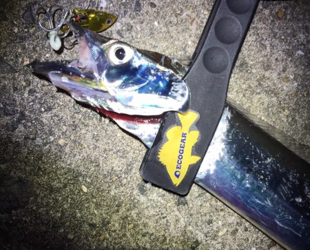 初☆ワインド！