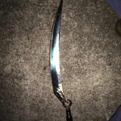 サワラリベンジ!