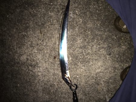 サワラリベンジ！