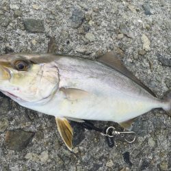 ショアジギ戦隊 釣りタインジャー出撃