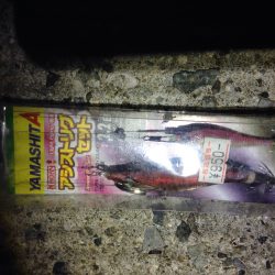 土砂降り直後のエギング