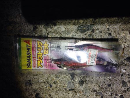 土砂降り直後のエギング