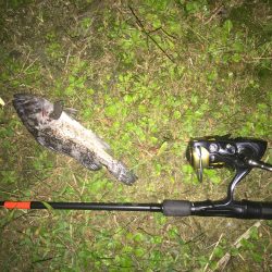 仕事終わり短時間釣行