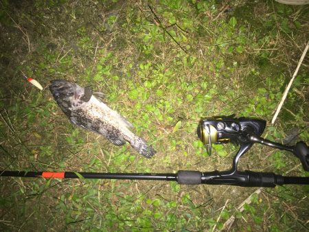 仕事終わり短時間釣行