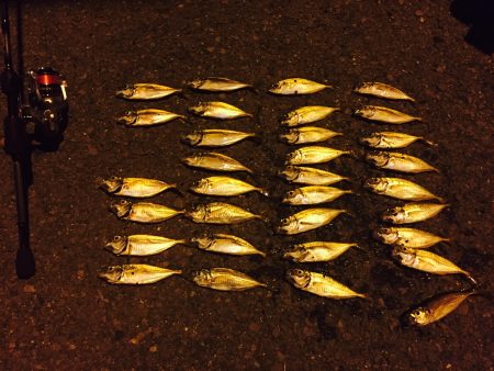 アジング( ´ ▽ ` )ﾉ