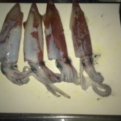 アオリ狙いが剣先ばかり。