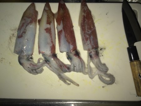 アオリ狙いが剣先ばかり。