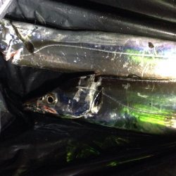 よく当たりました。