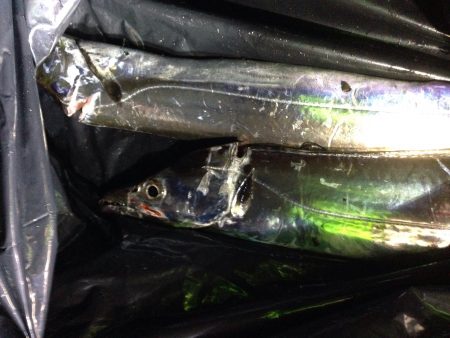 よく当たりました。