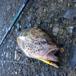 メタルバイブで