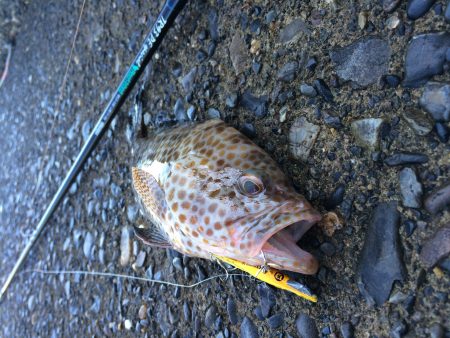 メタルバイブで