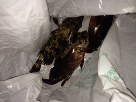 夜勤明けからの