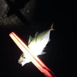 アジングランガン