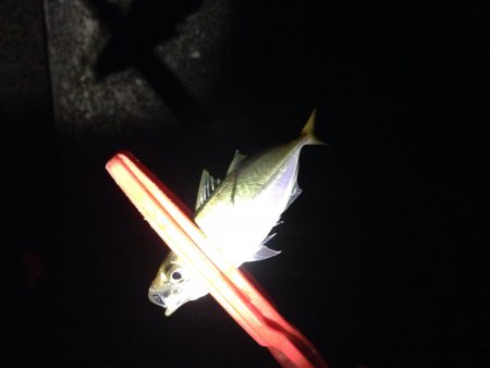 アジングランガン