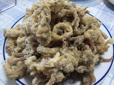 エギングでアオリイカ